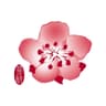China Airlines logo