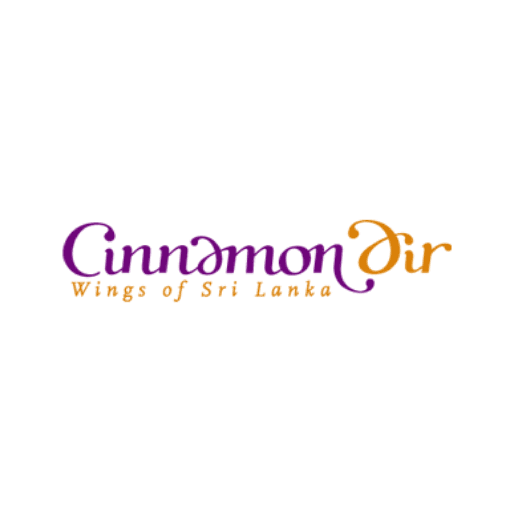 cinnamon air logo