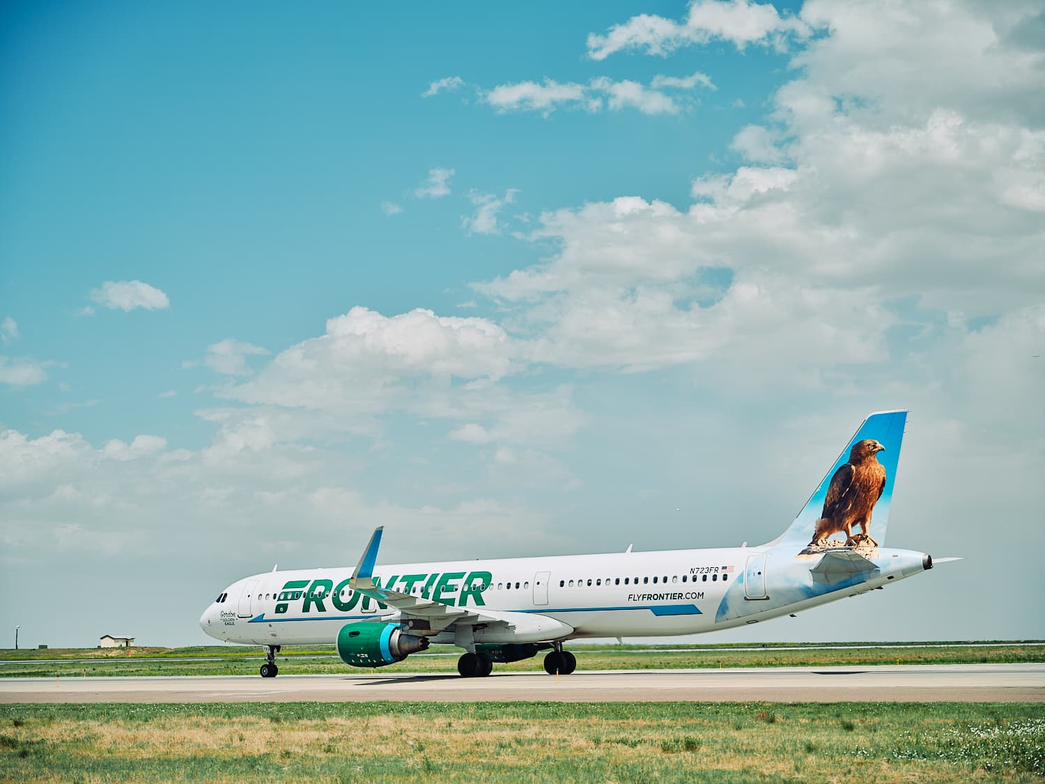 Frontier Airlines aircraft with animal tail livery under a blue sky