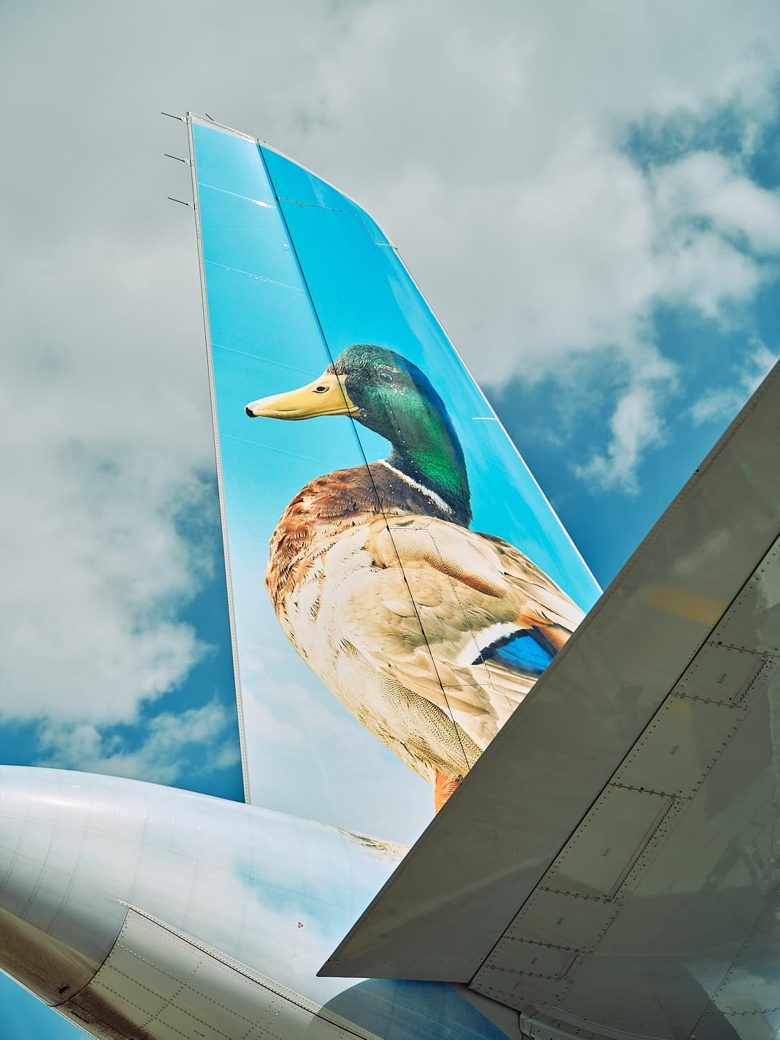 Frontier Airlines aircraft tail with animal livery