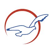 air peace logo