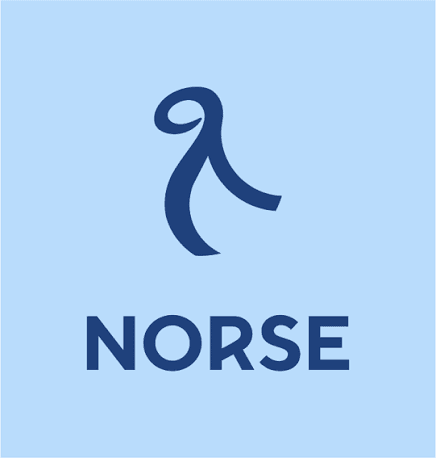 norse atlantic airways logo