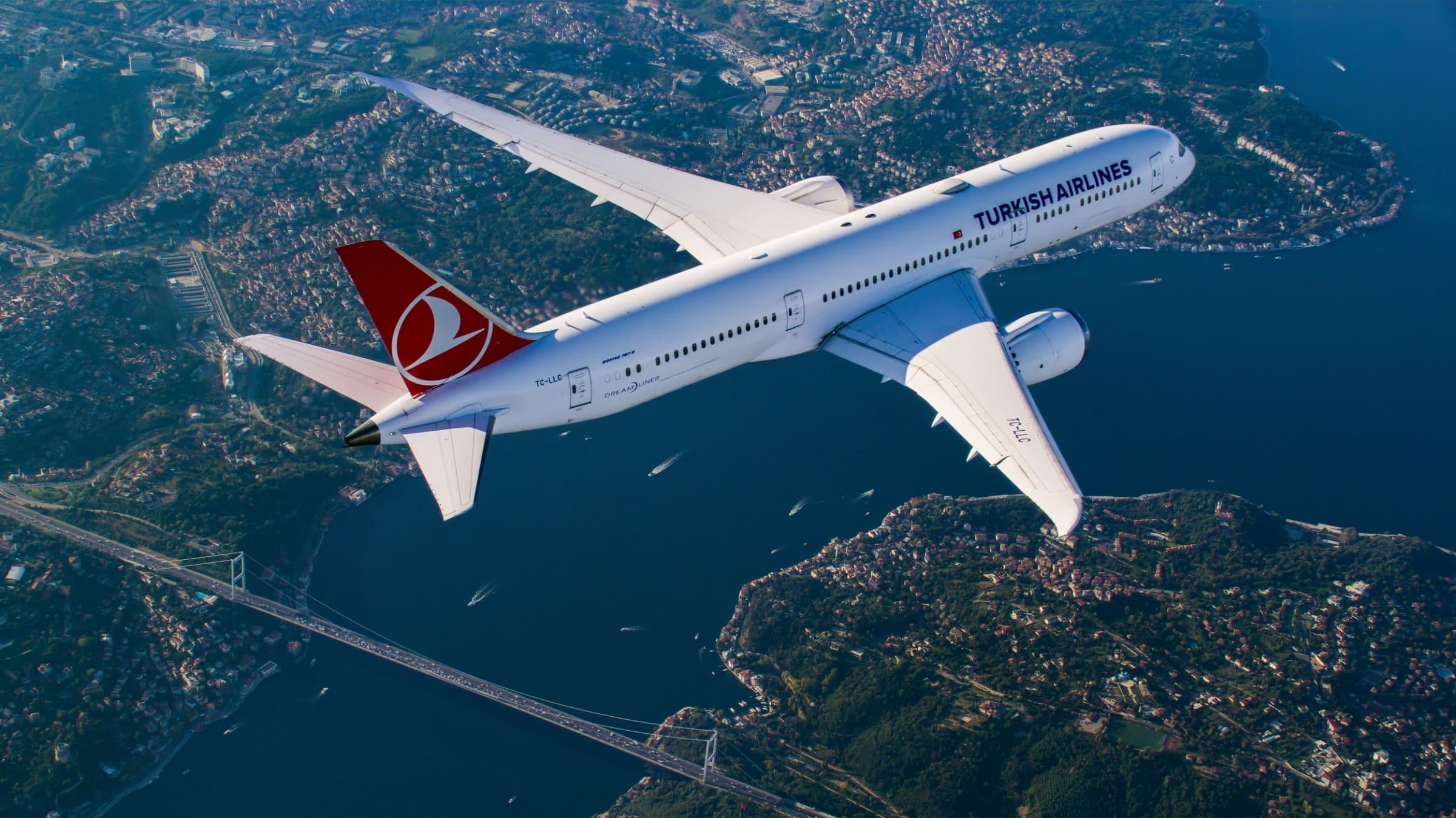 Turkish Airlines aircraft in flight
