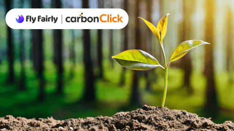 🌱 Add the "Carbon Offset" on extra add-on page