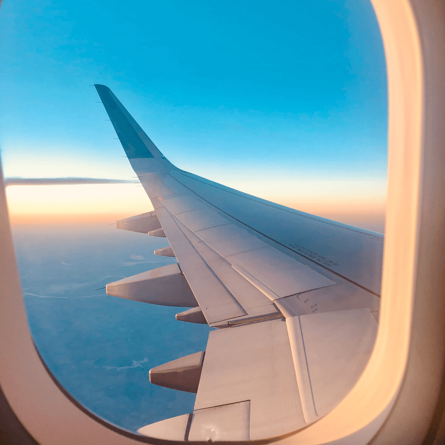 Why choose Buzz for your next trip? โ๏ธ