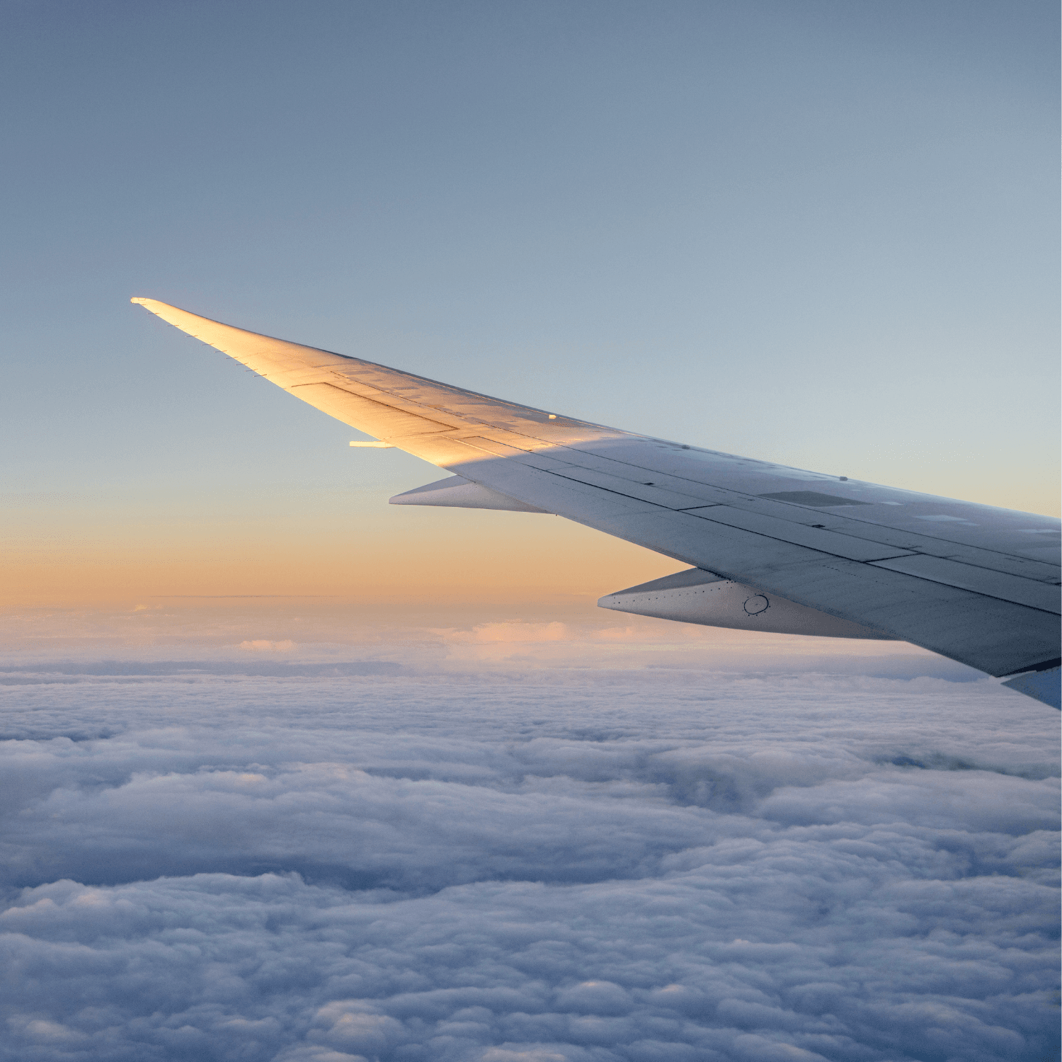 Buzz Loyalty Program: Miles of Rewards ๐