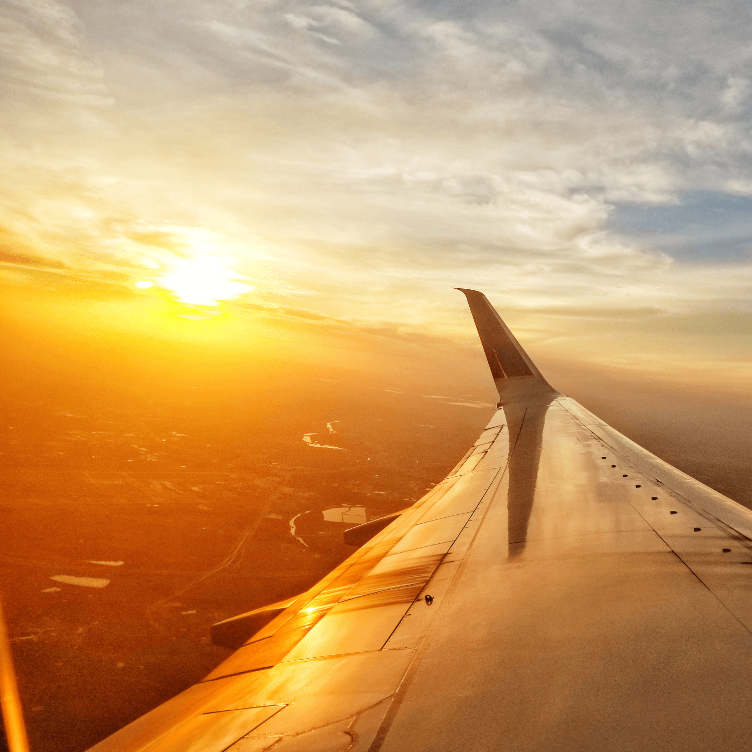 Top Budget Airlines for Domestic Travel