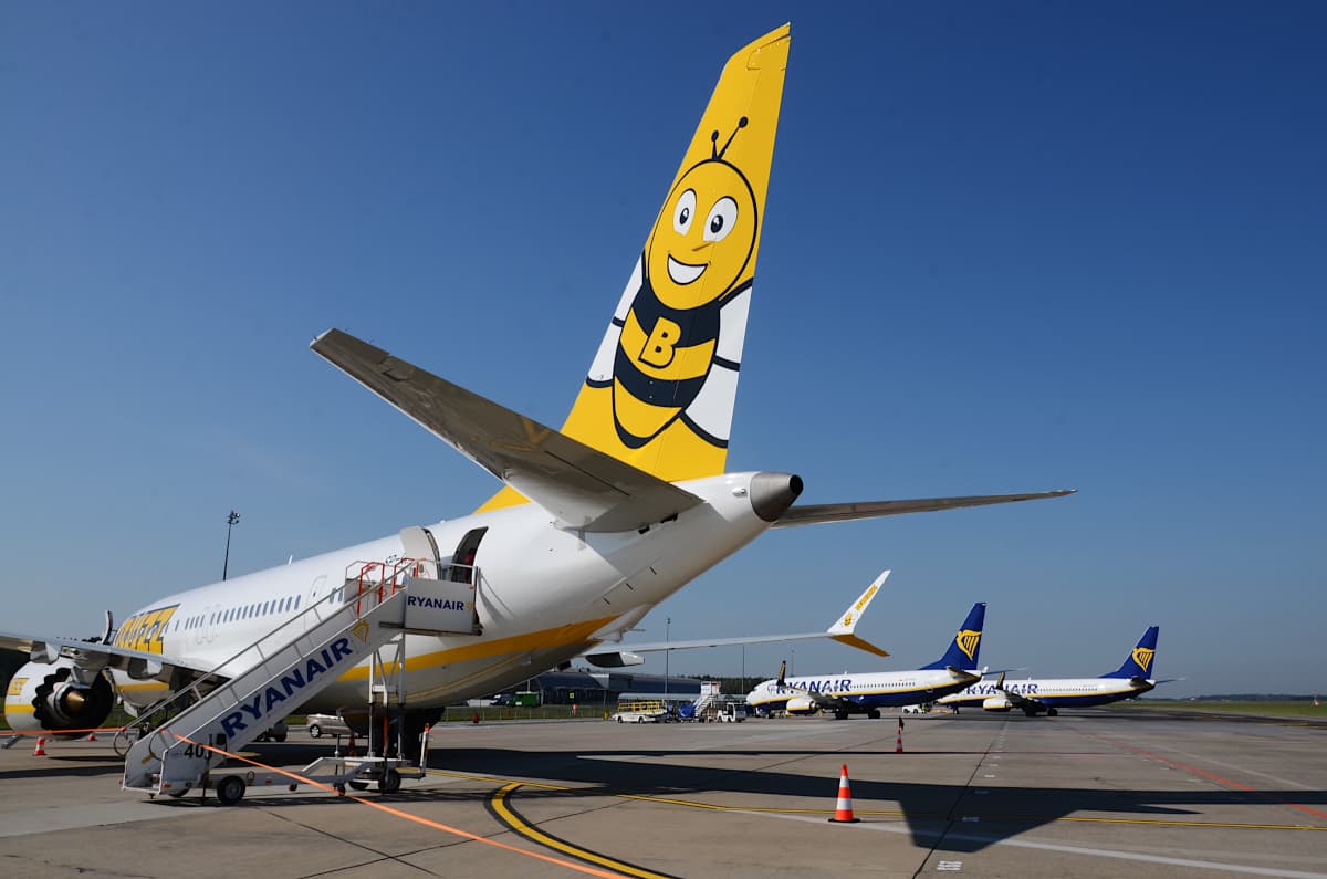 Buzz aircraft tail with the yellow bee mascot