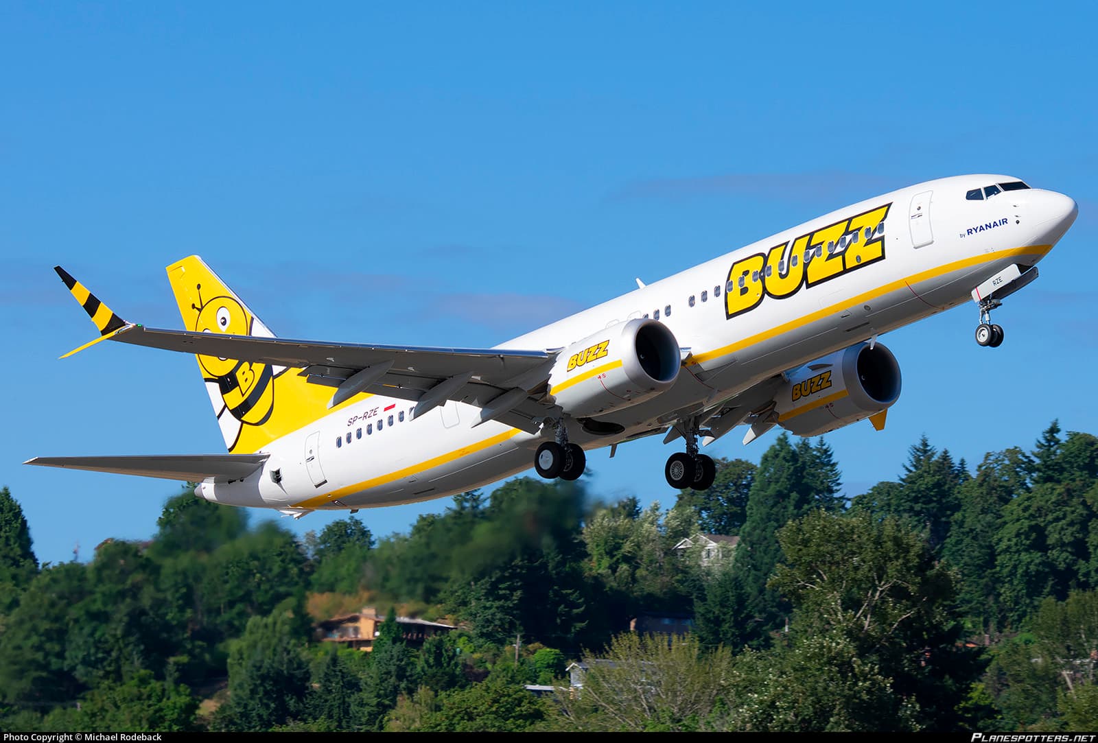 Buzz Boeing 737 in yellow bee livery taking off over trees