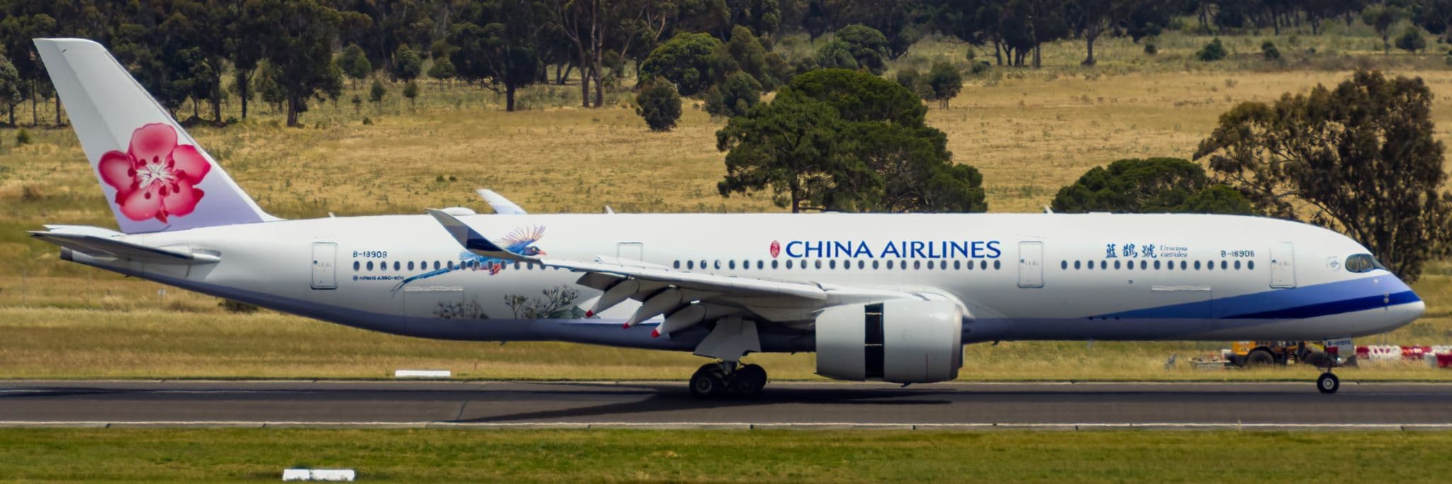 China Airlines Airbus A350-900 客機,註冊編號 B-18908,機身為台灣藍鵲彩繪塗裝,停於墨爾本機場
