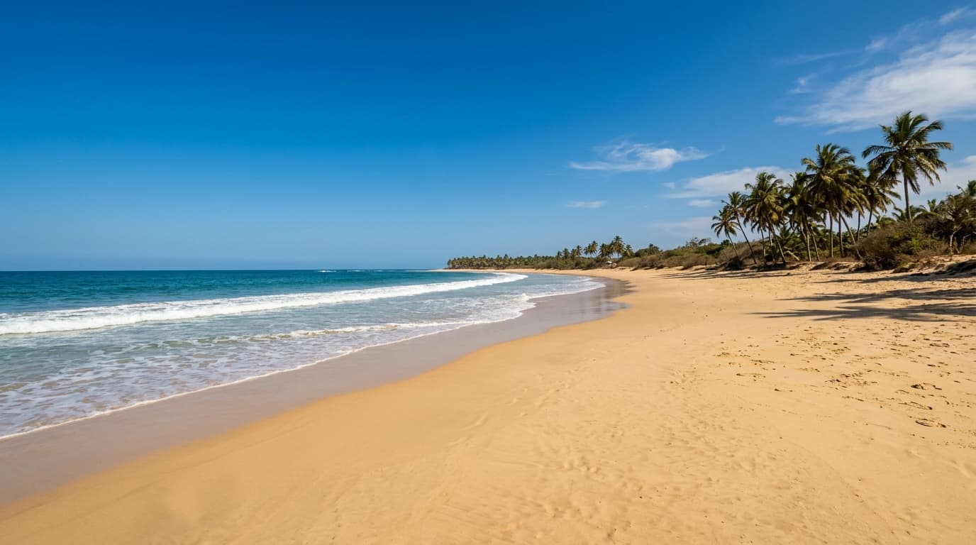 Gambia – when to book