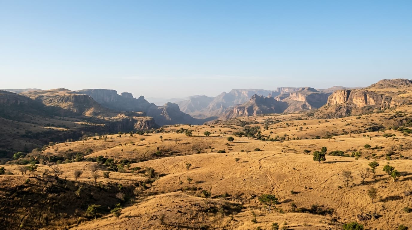 Guinea – when to book