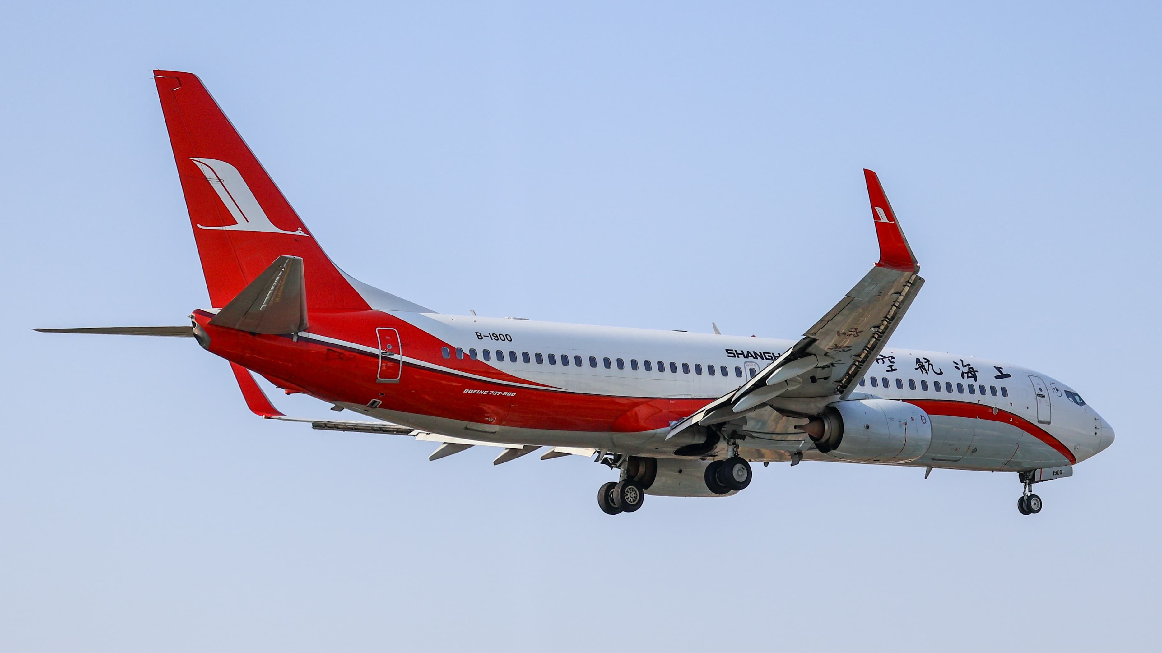 Boeing 737-800 der Shanghai Airlines (B-1900) im Flug am Internationalen Flughafen Xiamen Gaoqi